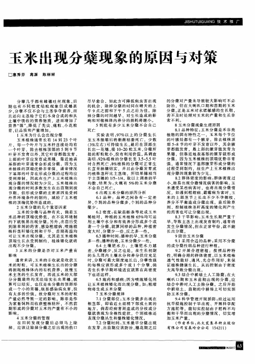 玉米出现分蘖现象的原因与对策