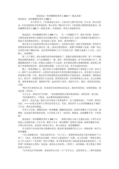 我也衔过一枚青橄榄优秀作文800字(精选5篇)