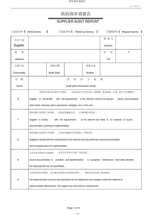 供应商审核报告