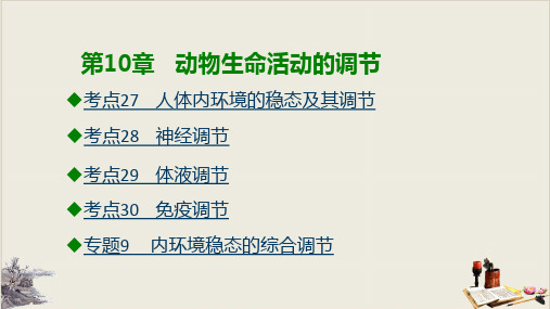 第10章 动物生命活动的调节新高考生物复习PPT