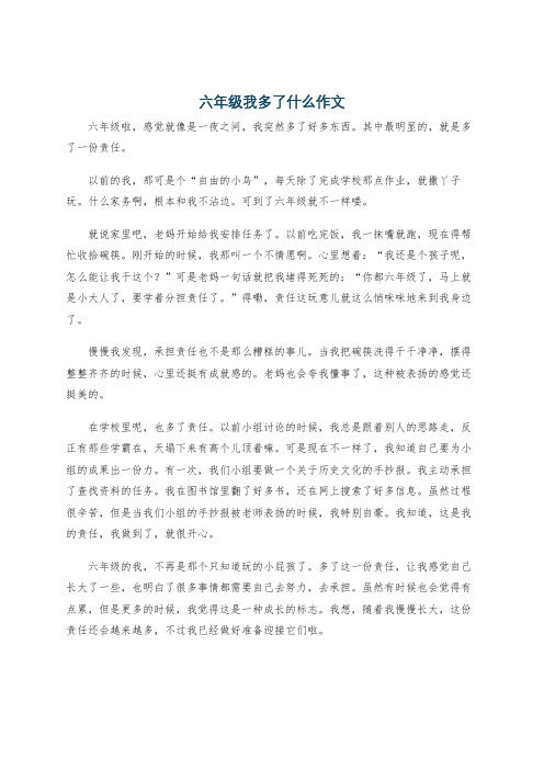 六年级我多了什么作文