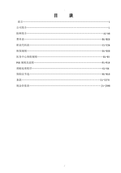 美国友邦保险产品手册大全