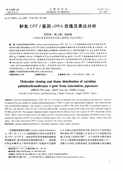 鲈鱼CPT I基因cDNA克隆及表达分析