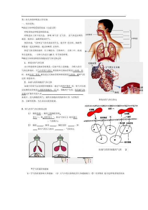 人教版生物七下第三章《人体的呼吸》word学案