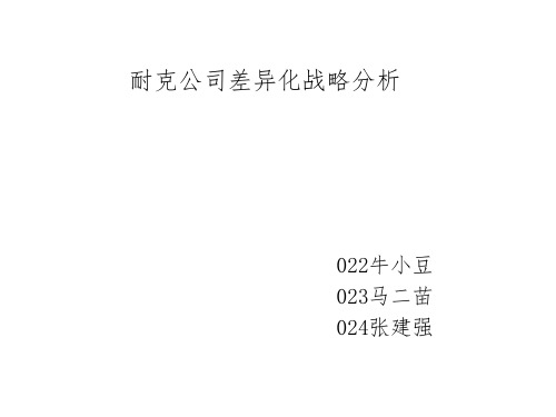 耐克公司差异化战略分析