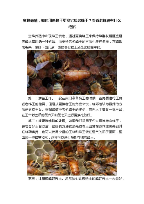 蜜蜂养殖，如何用新蜂王更换劣质老蜂王？看看老蜂农有什么绝招