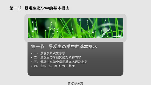 景观生态学理论与人类对生态系统的利用环境生态学盛连喜