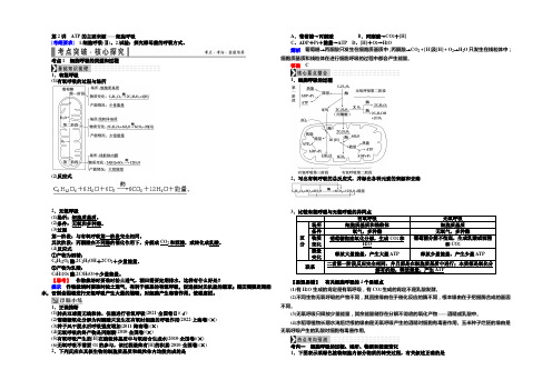 《导学教程》2021届高三生物一轮总复习讲义：第三单元第2讲 ATP的主要来源——细胞呼吸 