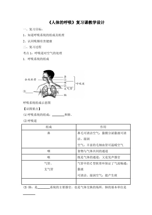 人教版七年级生物下册《人体的呼吸》复习课教学设计