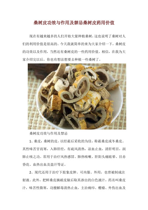 桑树皮功效与作用及禁忌 桑树皮药用价值