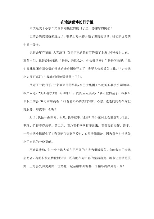 在迎接世博的日子里_小学作文_15