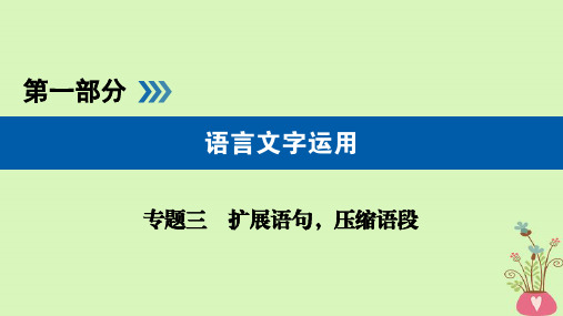 2019版高考语文大一轮复习第一部分语言文字运用专题三扩展语句课件