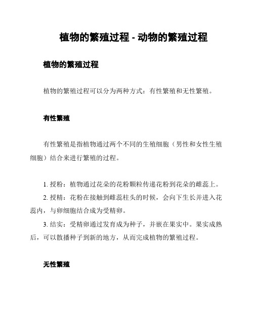 植物的繁殖过程 - 动物的繁殖过程