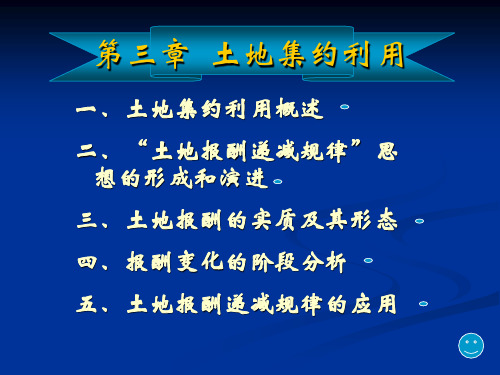 土地经济学 第3章  土地集约利用