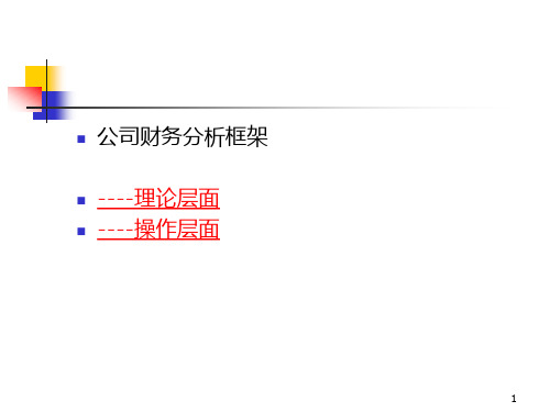 《公司财务分析框架》页PPT课件