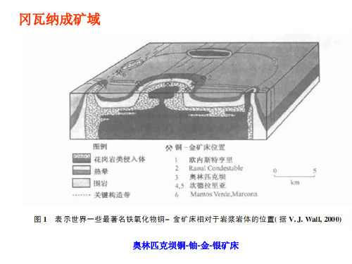 世界四大成矿域典型矿床