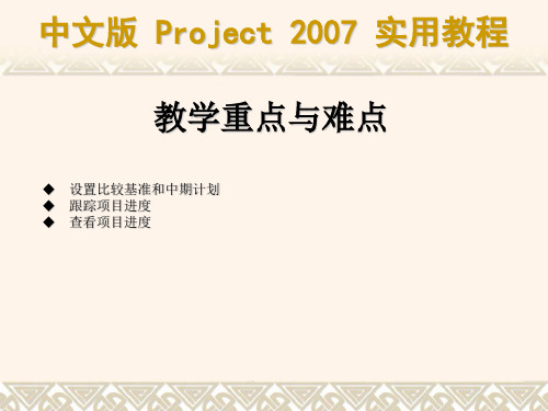 project项目进度管理方案