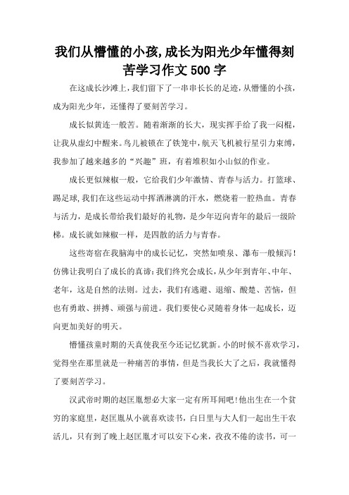 我们从懵懂的小孩,成长为阳光少年懂得刻苦学习作文500字