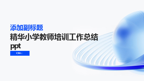 2023精华小学教师标准培训工作总结ppt