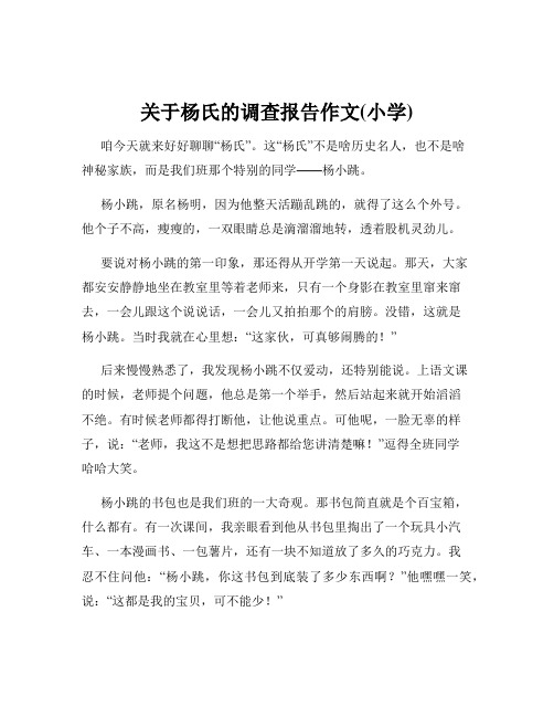 关于杨氏的调查报告作文(小学)