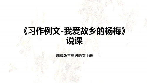 部编版小学三年级语文上册《习作例文-我爱故乡的杨梅》说课课件(含教学反思)(20)