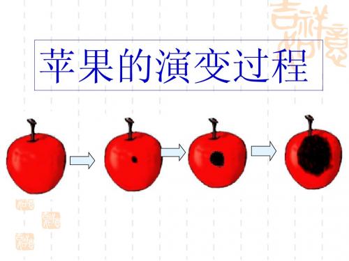 防患于未然__课件