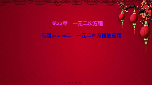 九年级数学上册 第22章 一元二次方程 专题二 一元二次方程的应用课件华东师大级上册数学课件