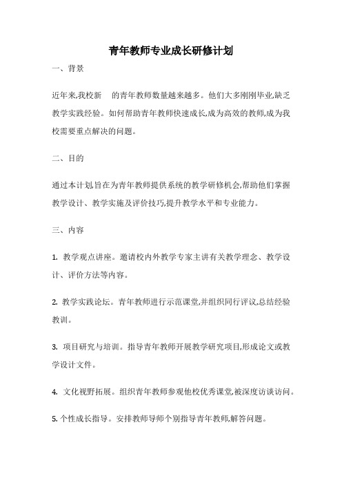 青年教师专业成长研修计划