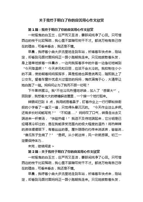 关于我终于明白了你的良苦用心作文欣赏