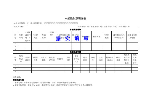 《车船税税源明细表》(样表)