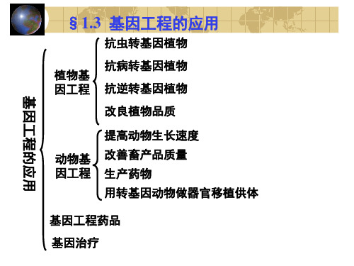 专题一1.3基因工程的应用-高二下学期生物人教版选修3