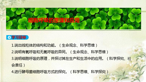 新教材人教版高中生物必修1：第5章 第3节 细胞呼吸的原理和应用 精品教学课件