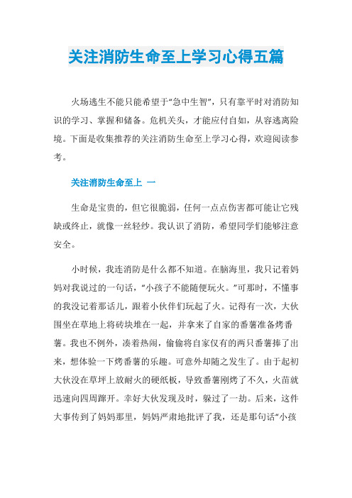 关注消防生命至上学习心得五篇