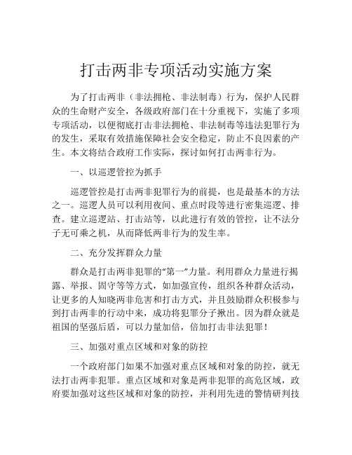 打击两非专项活动实施方案