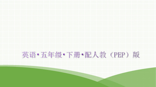 最新人教pep版五年级下册英语期末专项训练(四) 阅读理解