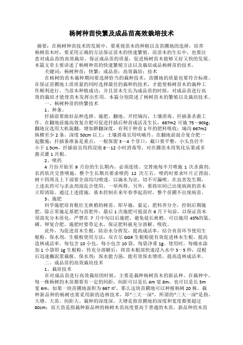 杨树种苗快繁及成品苗高效栽培技术