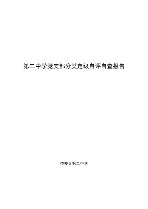 党支部自评自查定级报告