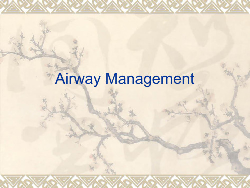 AirwayManagement(气道管理)PPT课件