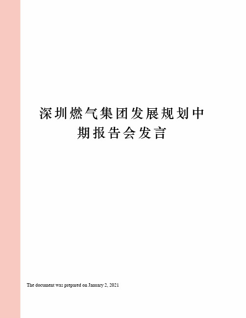 深圳燃气集团发展规划中期报告会发言