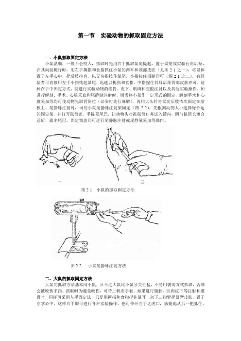 第一节实验动物的抓取固定方法