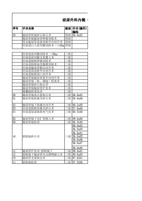 泌尿外科内镜(经尿道内镜)手术(操作)目录(2021版)