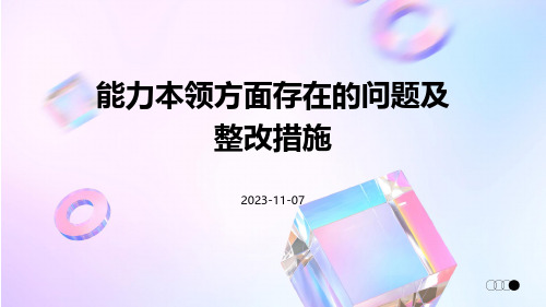 能力本领方面存在的问题及整改措施