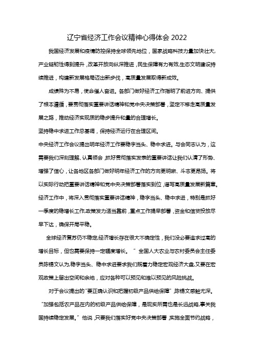 辽宁省经济工作会议精神心得体会2022