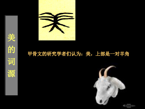 美字分析