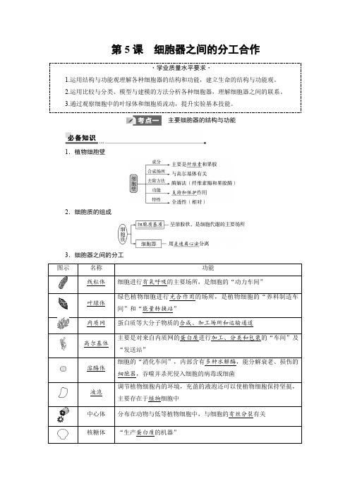 2025年高考生物一轮复习05第二单元第5课细胞器之间的分工合作