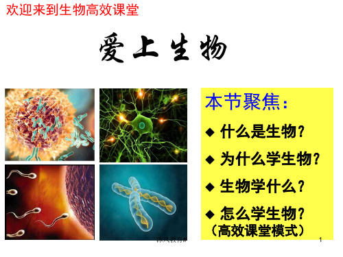 人教版高一生物必修一(课件)高中生物第一课(谷风教学)