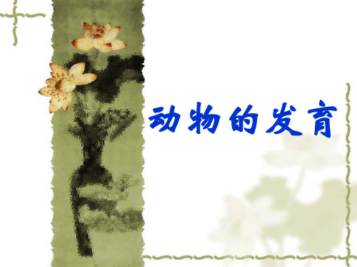 苏科版初中生物八上第七单元20.2《动物的发育》课件(共26页)