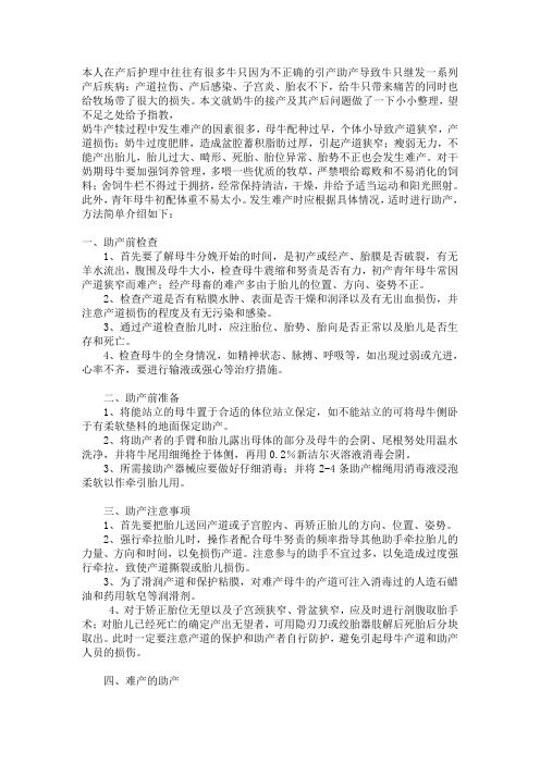 奶牛如何做到正确的助产以及产后护理