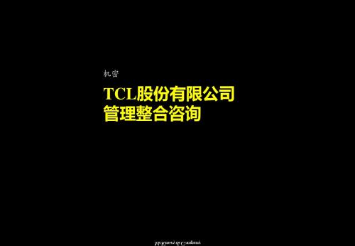 TCL股份有限公司管理整合咨询