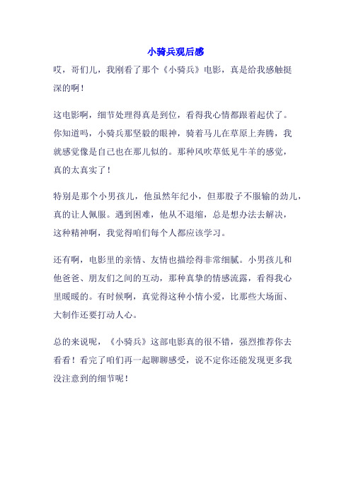 小骑兵观后感作文400字